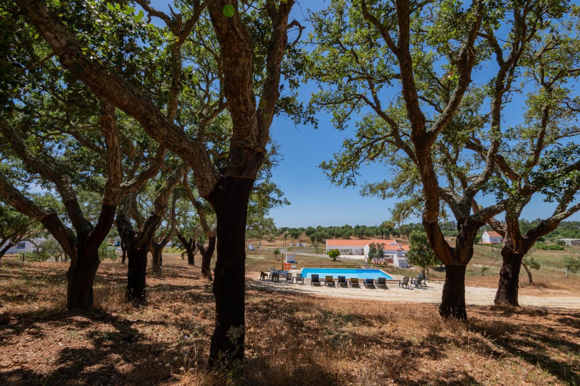 Valle D'Agua - Casas De Campo Vale de Água Exterior foto